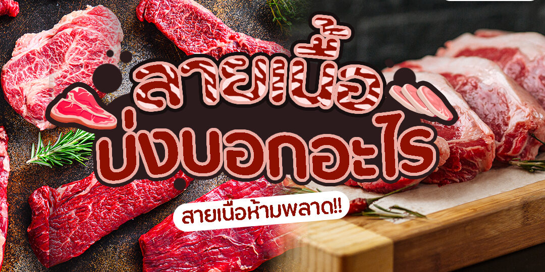 ลายเนื้อปกบทความ