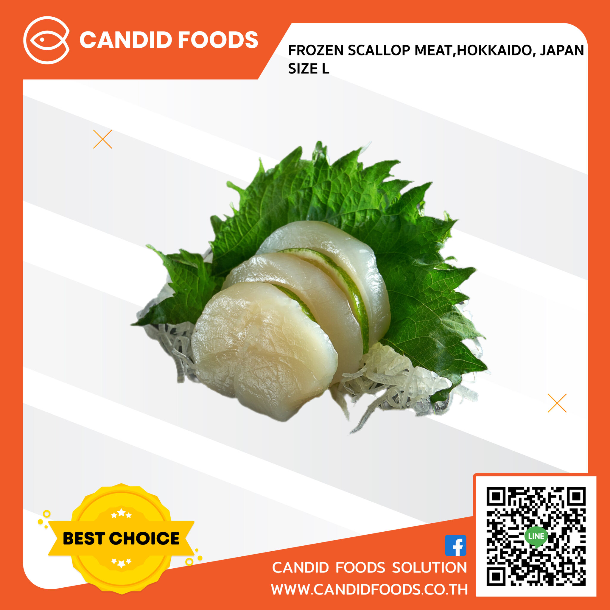 Frozen Scallop meat,Hokkaido, Japan L Candid Foods