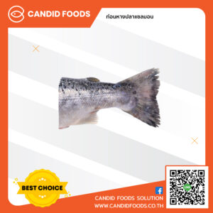 ท่อนหางปลาแซลมอน