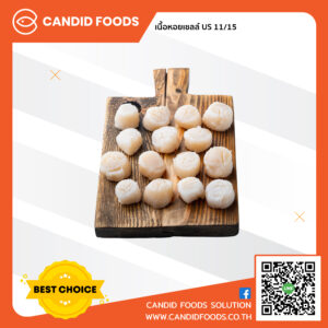 Frozen US Scallop meat 11/15