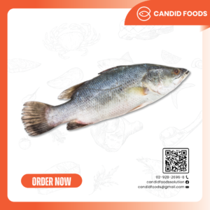 ปลากะพงตัวรวมเครื่องใน 600-1,000 g.